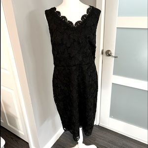 Talbots Butterfly Black Lace Dress NWT